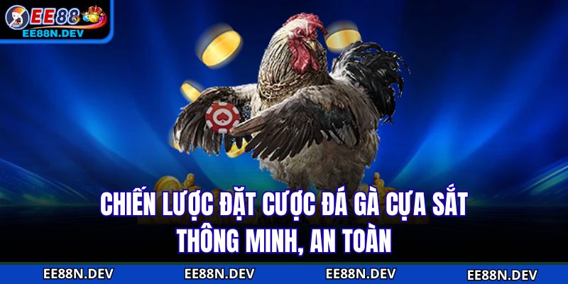 Chiến lược đặt cược đá gà cựa sắt thông minh, an toàn