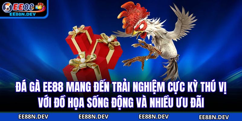Đá Gà EE88 mang đến trải nghiệm cực kỳ thú vị