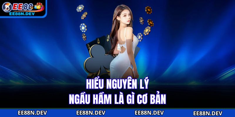 Hiểu nguyên lý ngầu hầm là gì cơ bản