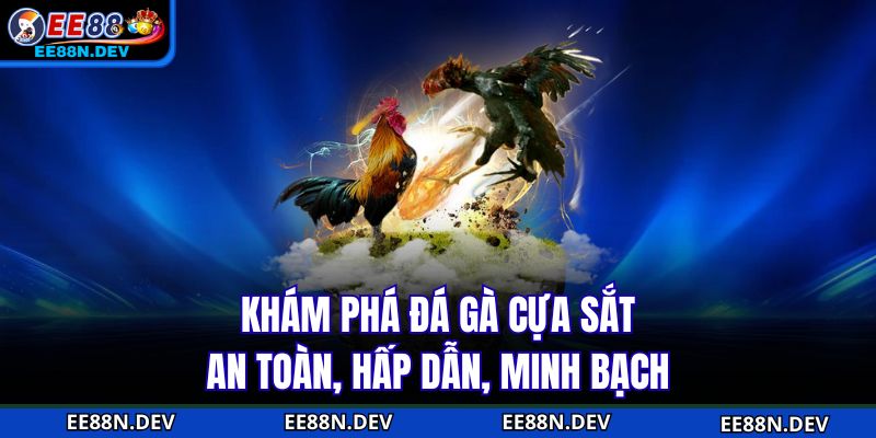 Khám phá đá gà cựa sắt an toàn, hấp dẫn, minh bạch