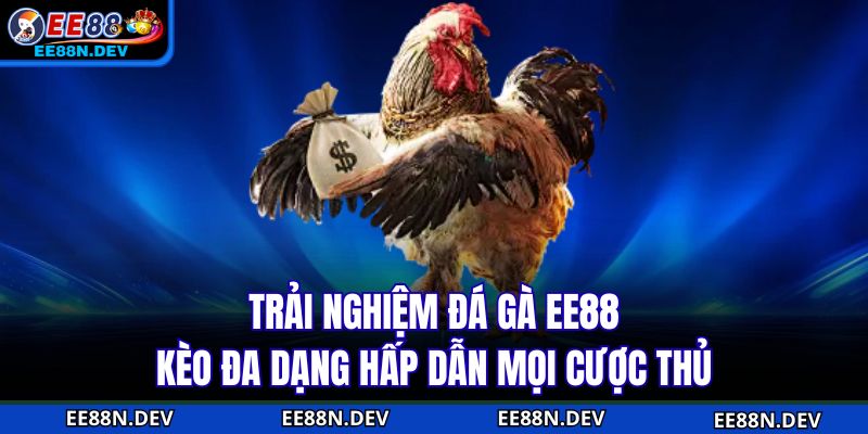 Trải nghiệm Đá Gà EE88 kèo đa dạng hấp dẫn mọi cược thủ