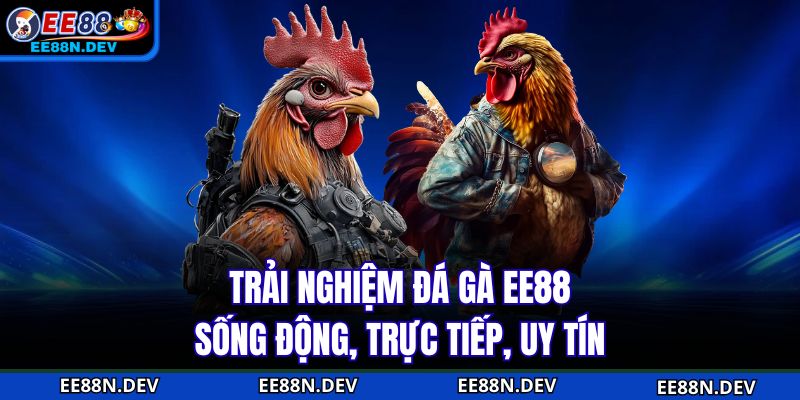 Trải nghiệm Đá Gà EE88 sống động, trực tiếp, uy tín