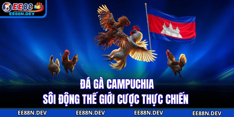 Đá Gà Campuchia - Sôi Động Thế Giới Cược Thực Chiến 