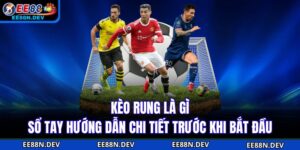 Kèo Rung Là Gì - Sổ Tay Hướng Dẫn Chi Tiết Trước Khi Bắt Đầu